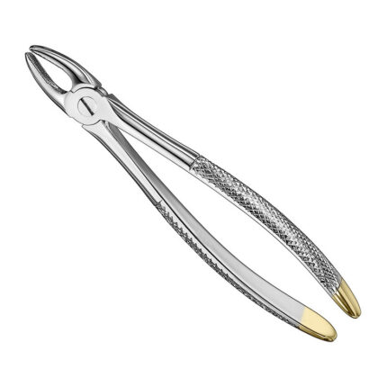 Extracting forceps, engl